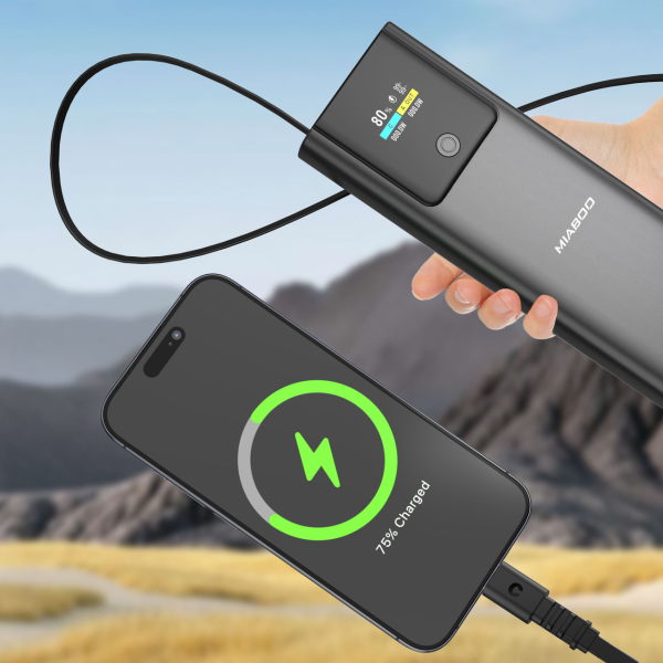 Повербанк із кабелем Type-C Power Bank P318 20000 mAh швидка зарядка 22.5W PD 45W дисплей для смартфонів та планшетів